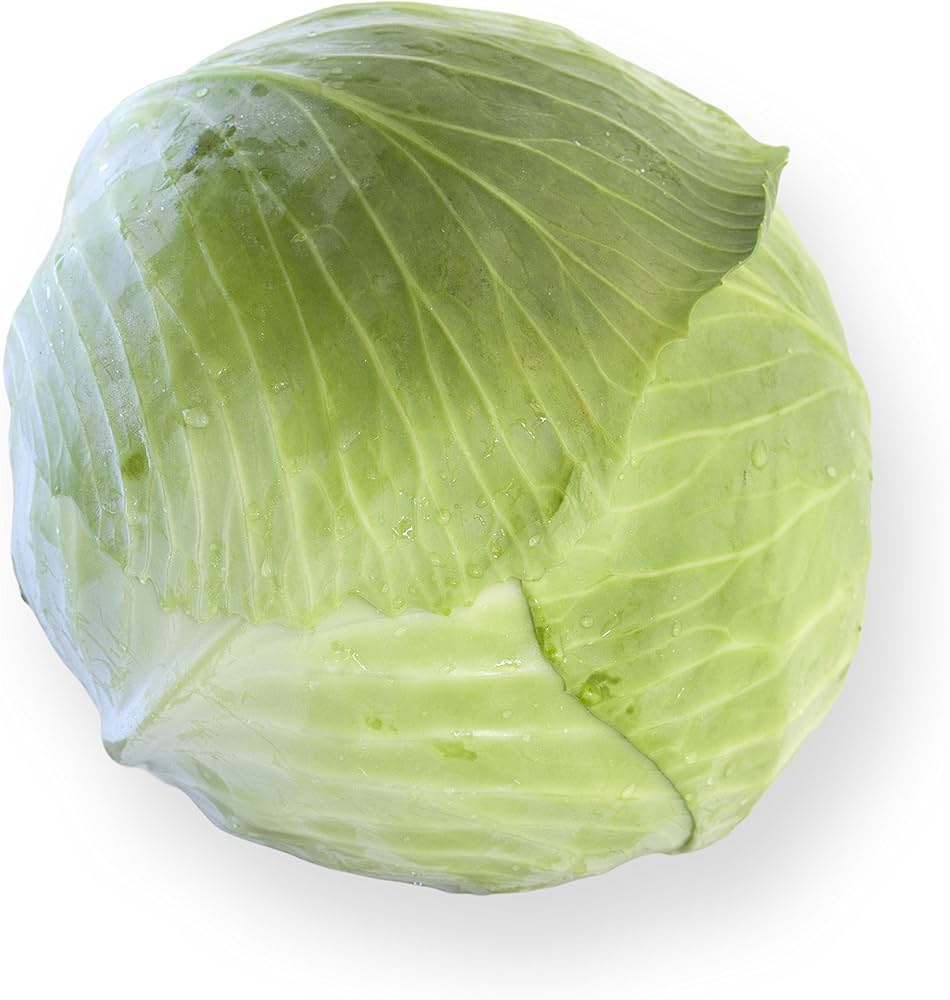 ملفوف/ يخنة / كرنب