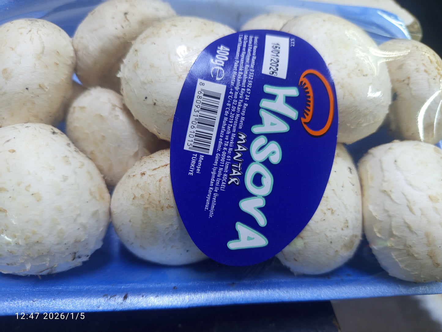 فطر/ مشروم طازج