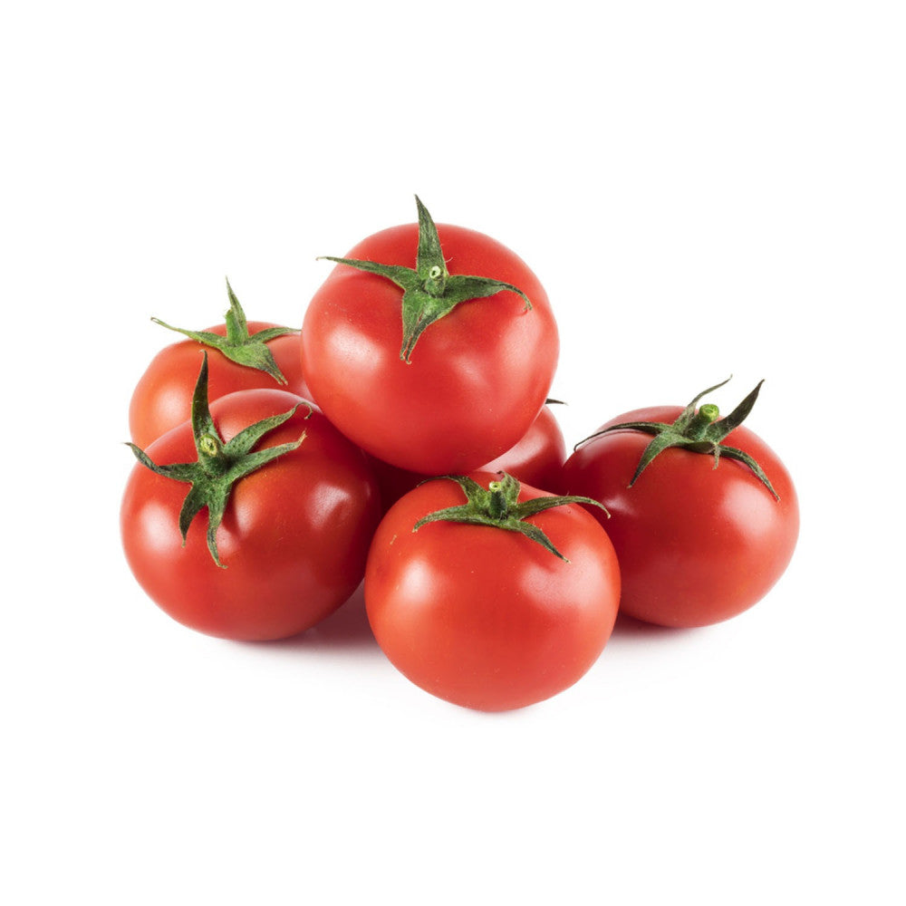 طماطم/بندورة