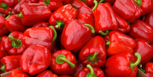 فليفلة حمرة مدعبلة/دولما