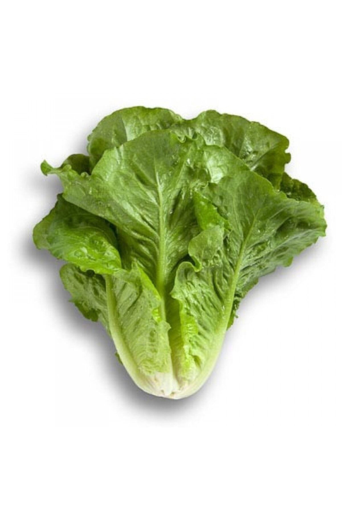 خس