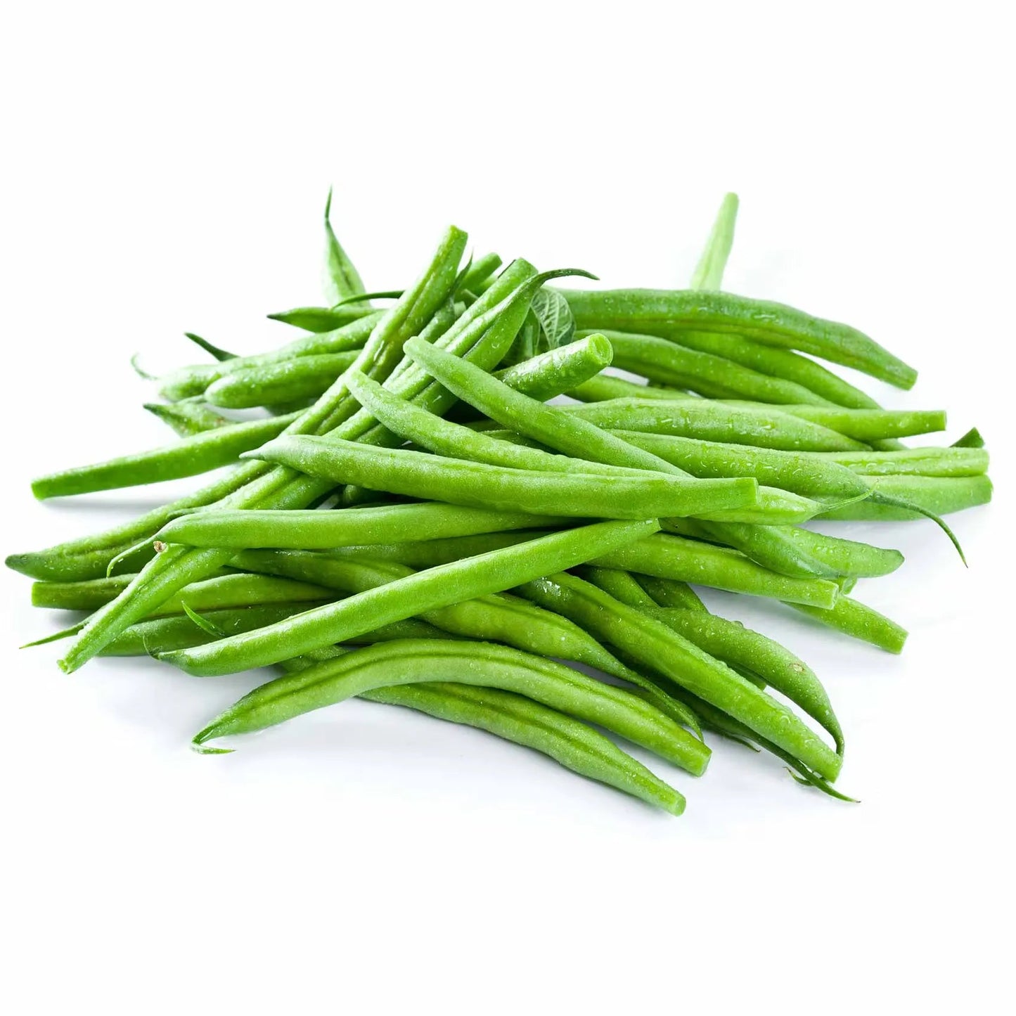 فاصولية خضرة رفيعة