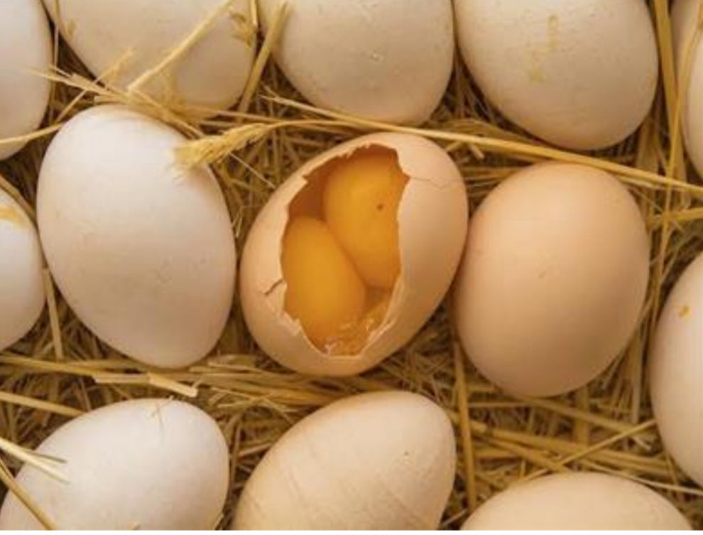 بيض بلدي بصفارين  قياس دبل العادي