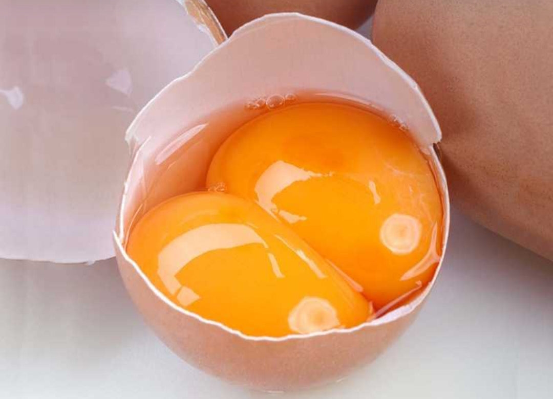 بيض بلدي بصفارين  قياس دبل العادي