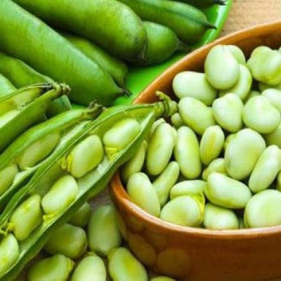 فول اخضر مجمد