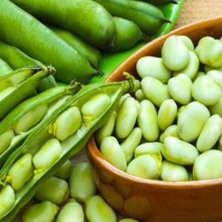 فول اخضر مجمد