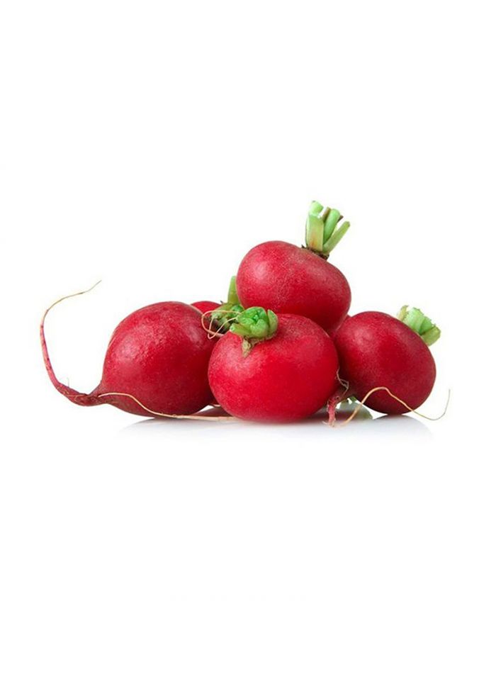 فجل احمر